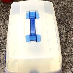 Devil egg carrying container